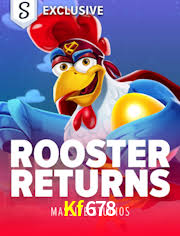 Tennis Betting Kf678